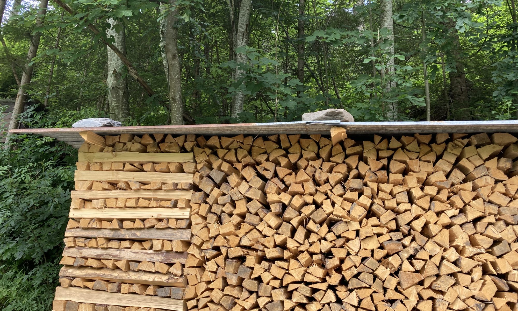 Neatly stacked logs in a forest