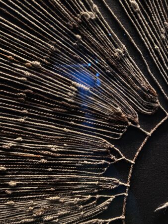 Detail from a Quipo in El Museo Chileno de Arte Precolombino. The quipo has 15024 data points